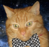 djmax's picture